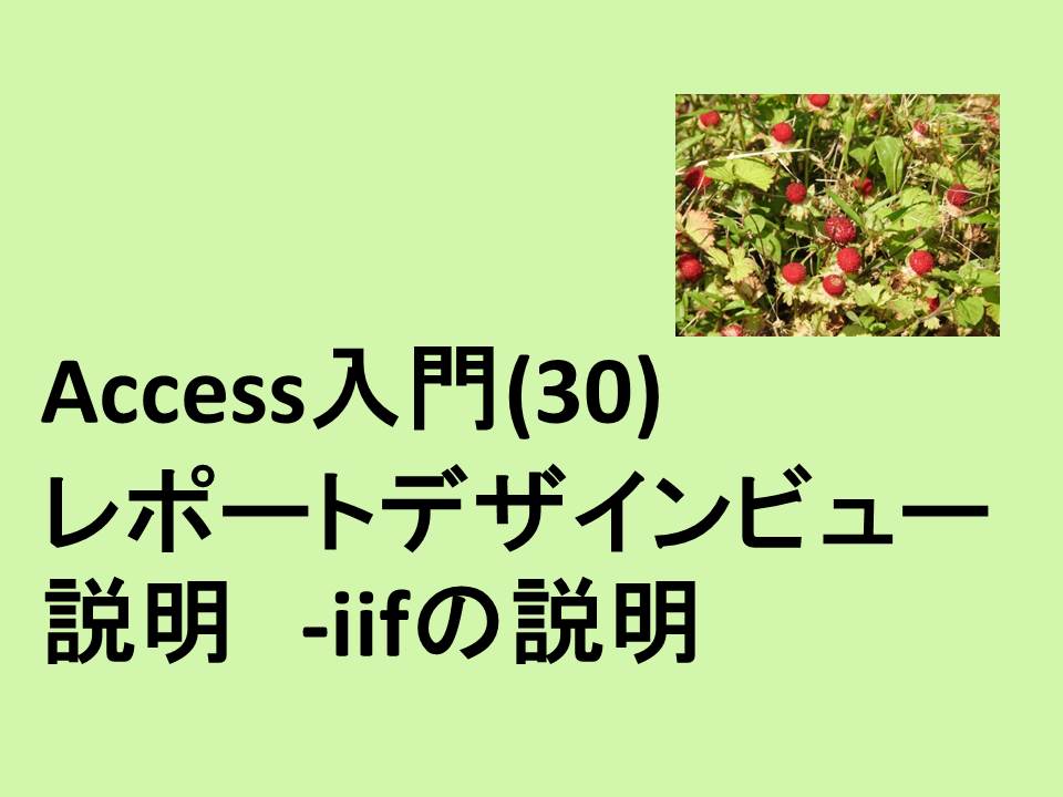 Access入門 30 レポートデザインビュー説明 Iifの説明 Access Excel倶楽部